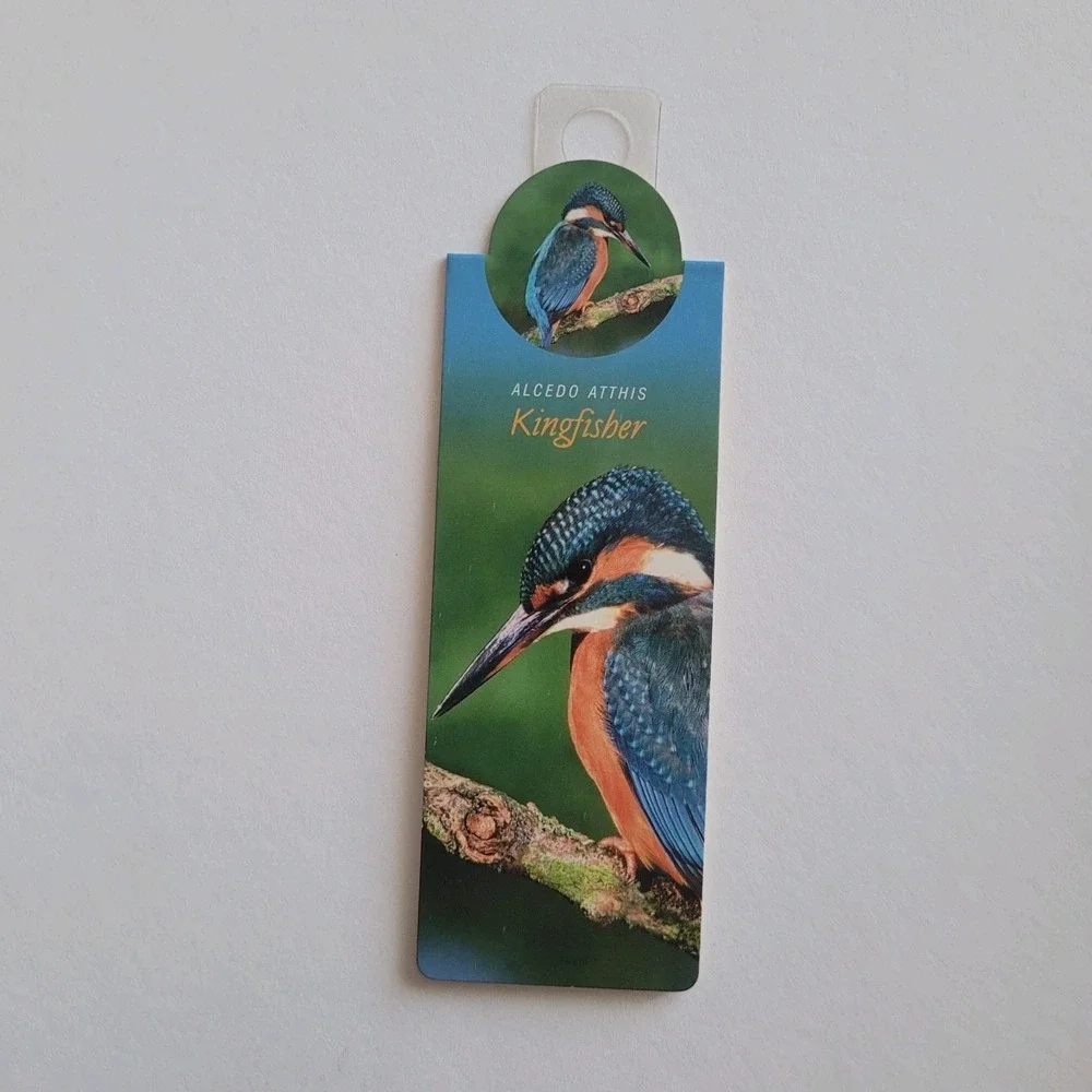 Cardmarks Kingfisher Bird Wild Nature Magnetic Magnet UK Company If 2402 Y2k 00s